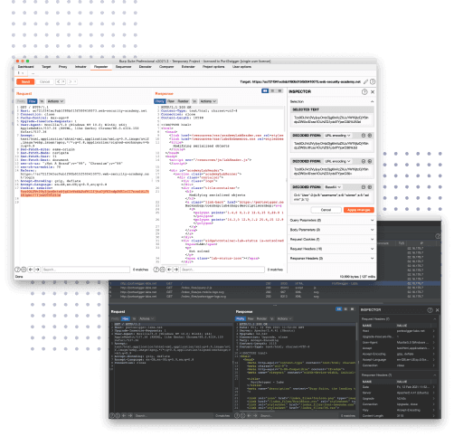 Burp Suite Professional interfeysi