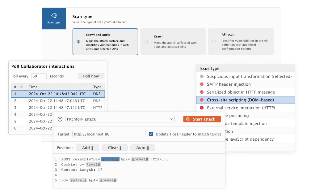 Burp Suite Professional interfeysi