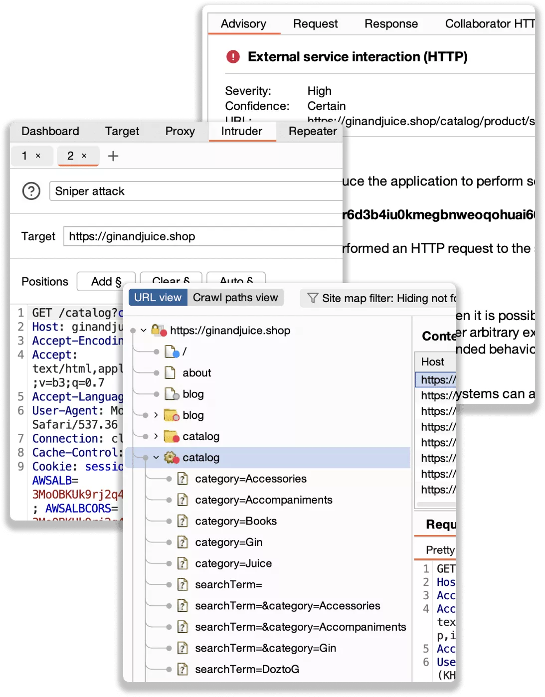 Burp Suite Professional ish jarayoni