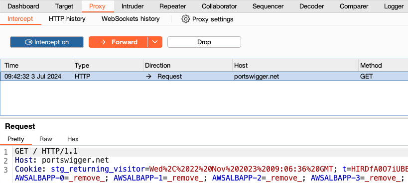 Burp Proxy'da ushlab qolingan so'rovni ko'rish